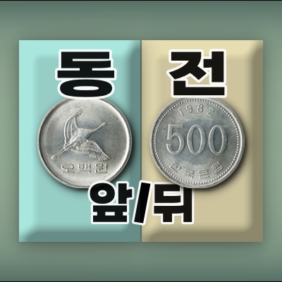 동전 앞뒤